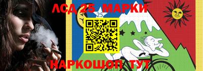 СК Севастополь