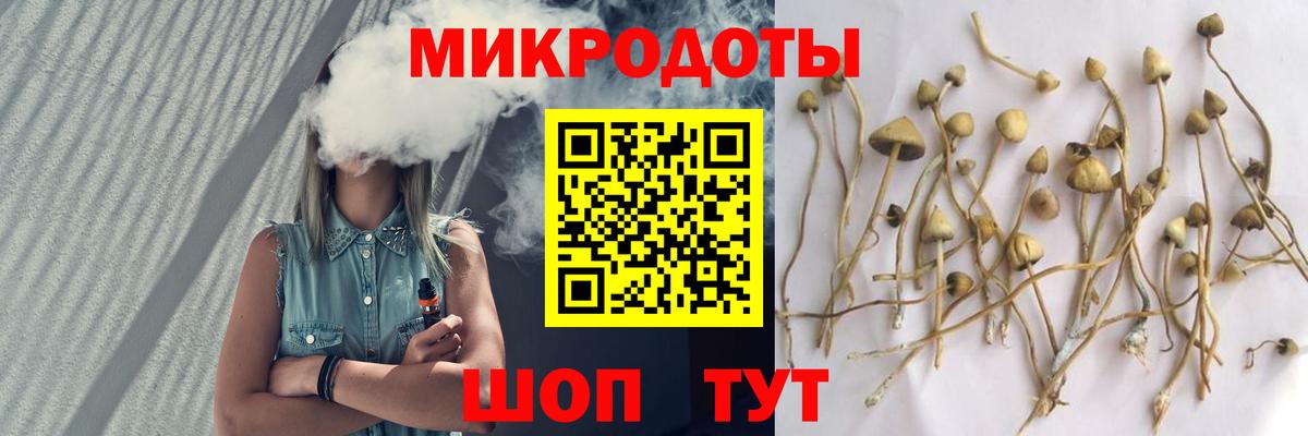 Ступино  Псилоцибиновые грибы ЛСД  Вход с VPN 